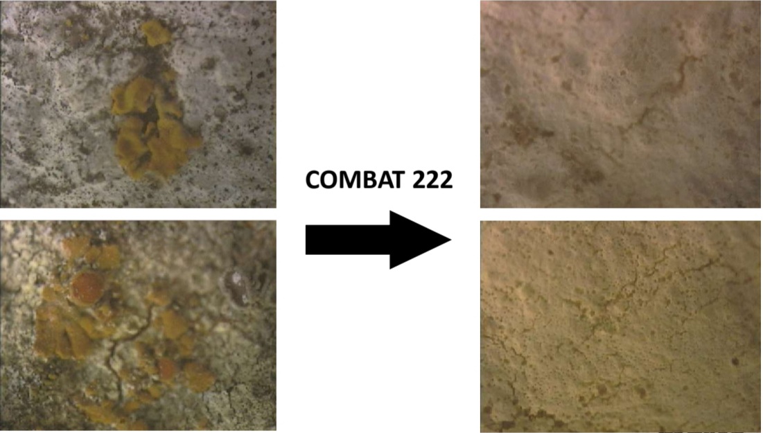 Soluzione_antimuffa_combat22